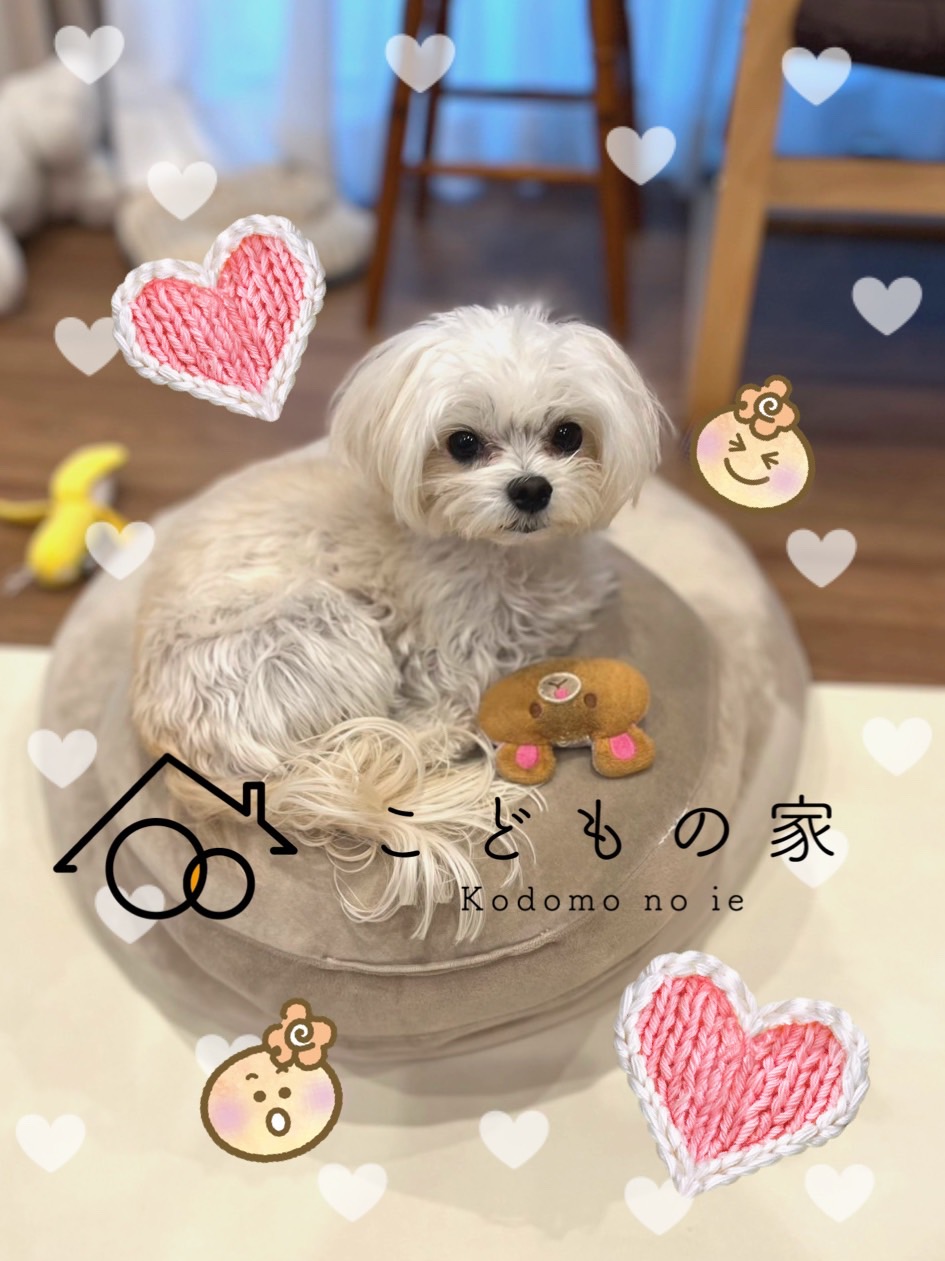 最新のニュースの画像